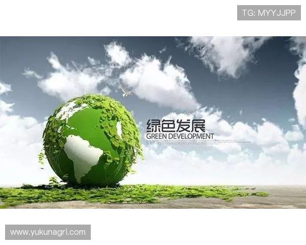 推动绿色未来：环保企业家如何引领可持续发展与创新实践