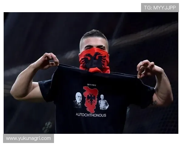 德米罗维奇因信仰不饮酒承诺与球迷共饮